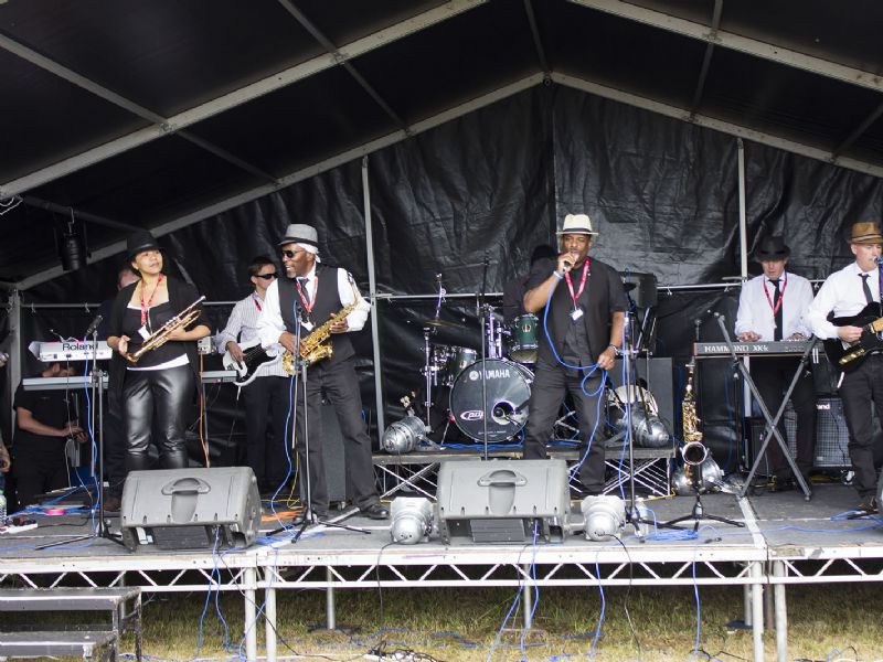 rock steady